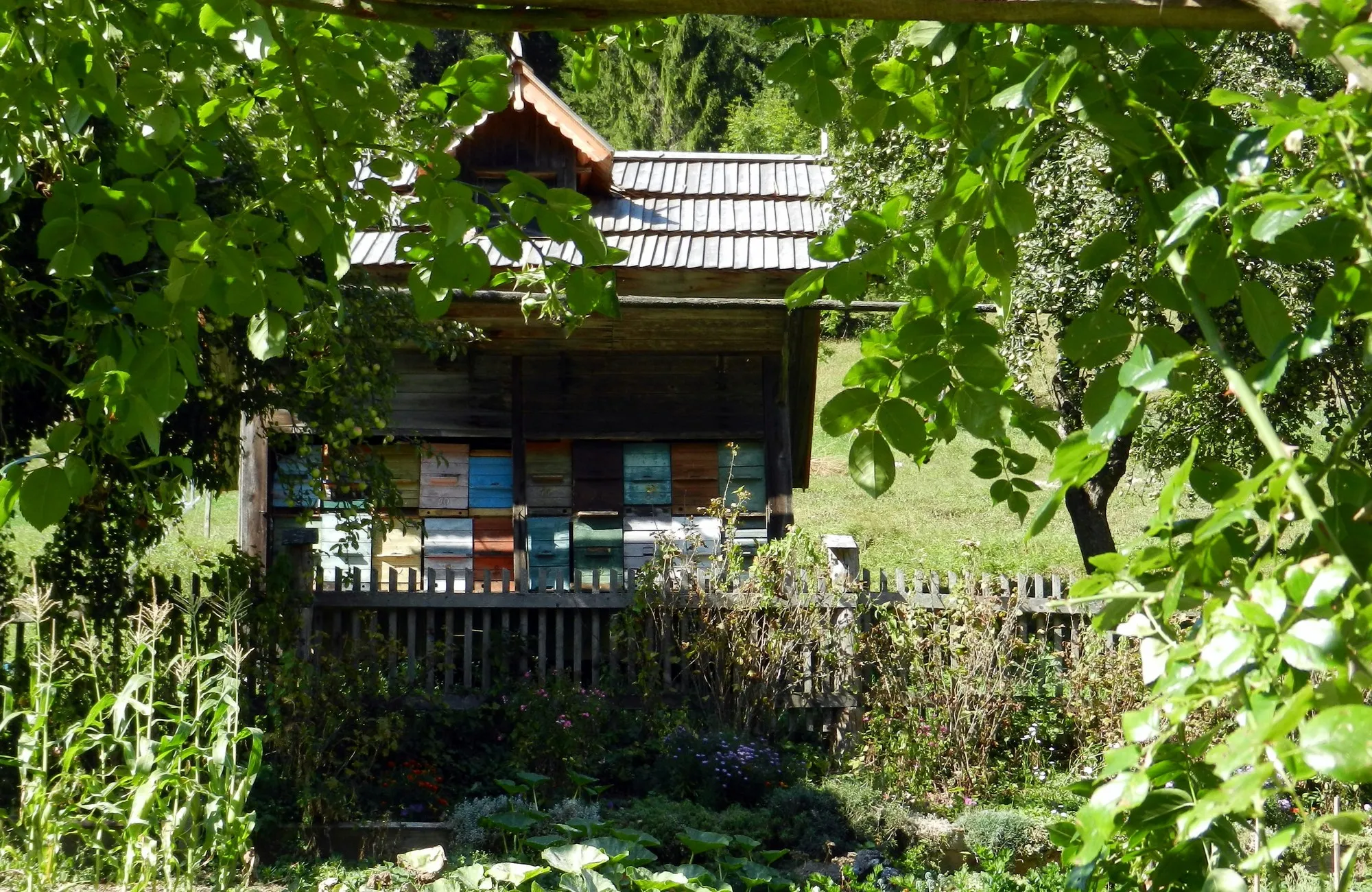 A bee house set among trees and garden